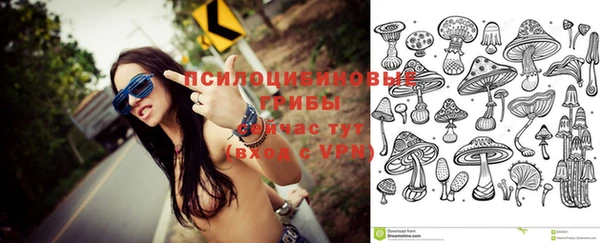 эйфоретик Алзамай